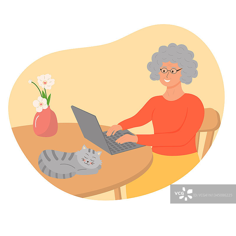 快乐的奶奶带着笔记本电脑，一只猫和一个插满鲜花的花瓶。图片素材