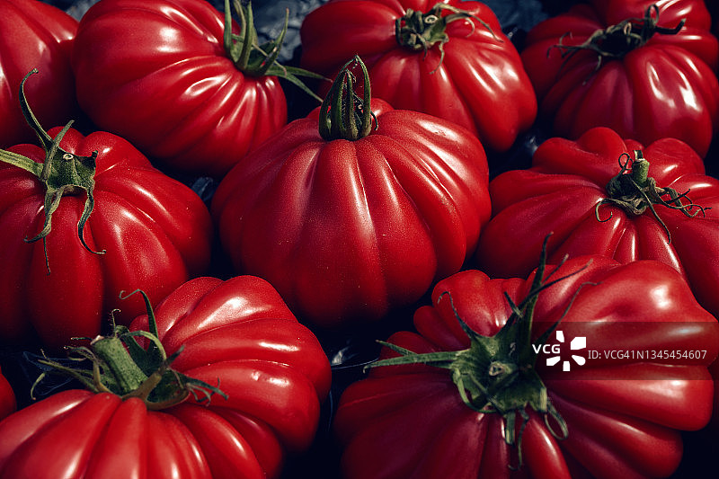 新鲜成熟的红牛排番茄或菜园里的牛肉心番茄图片素材