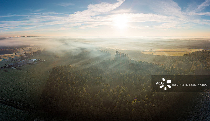 森林的空中全景照片在清晨与雾图片素材