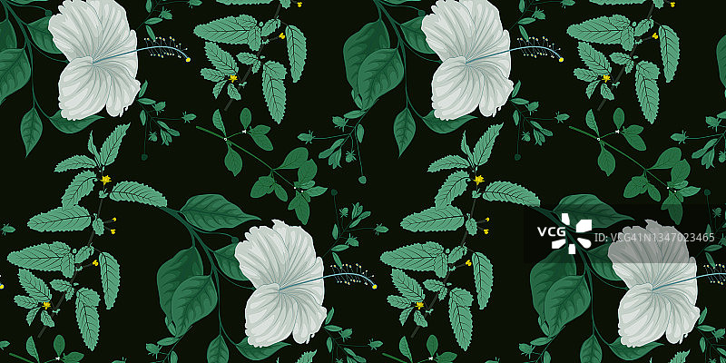美丽的无缝矢量花卉图案，春夏背景，丛林树叶，芙蓉，异国情调墙纸图片素材