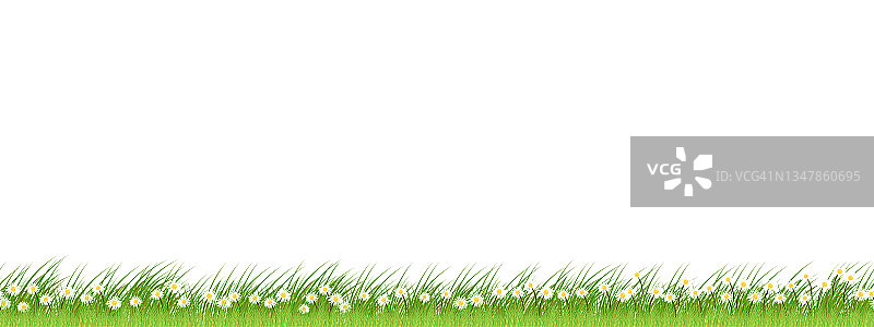 天衣无缝的图案春天的自然背景与可爱的小雏菊和草地。向量无尽的夏天绿色的草地和野花在白色的背景。复活节假期的水平边界图片素材
