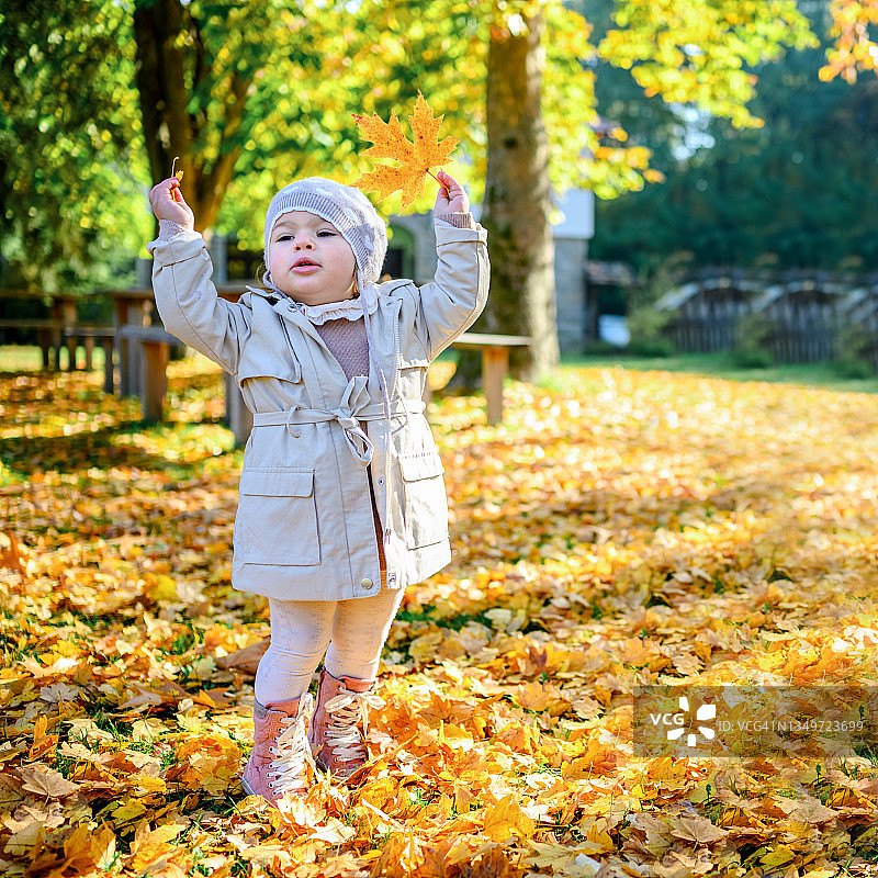 可爱的小女孩在秋天的公园里玩耍图片素材