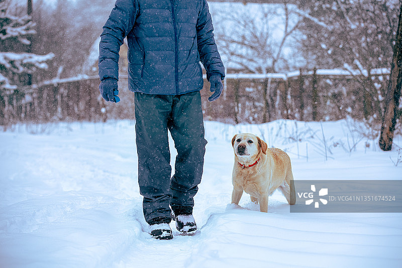 一个人带着狗在雪天的乡下散步图片素材