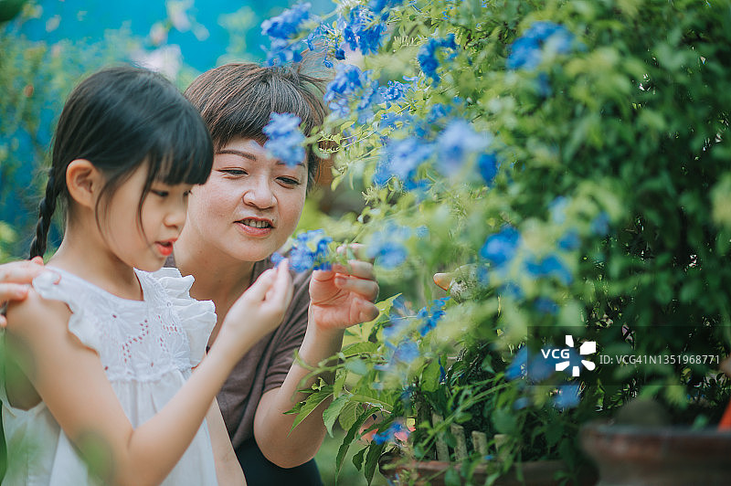 亚洲华人母亲和女儿在周末的休闲活动中一起在后院花园享受亲密的时光图片素材