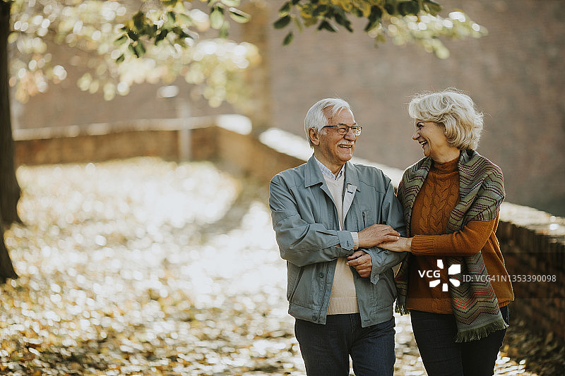 老年夫妇在秋天公园散步图片素材