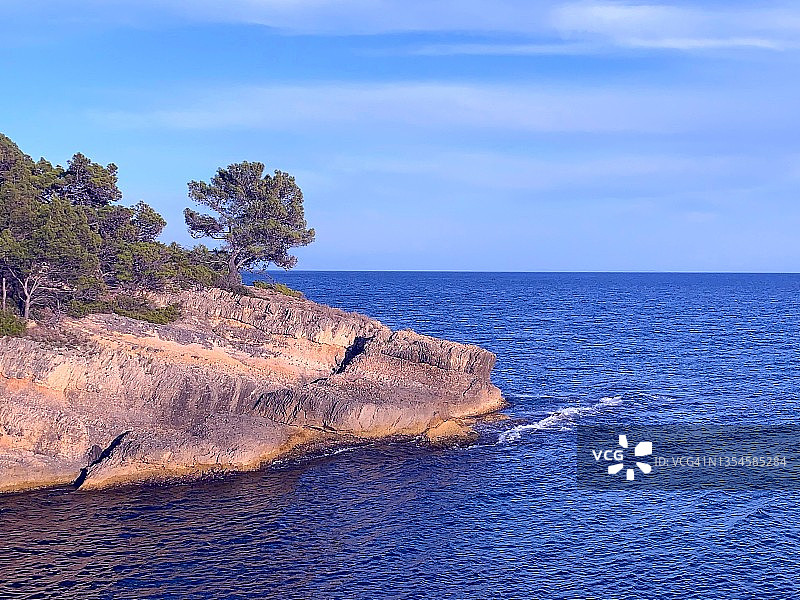 夏日里，岩石上的松树俯瞰蓝色的海水。图片素材