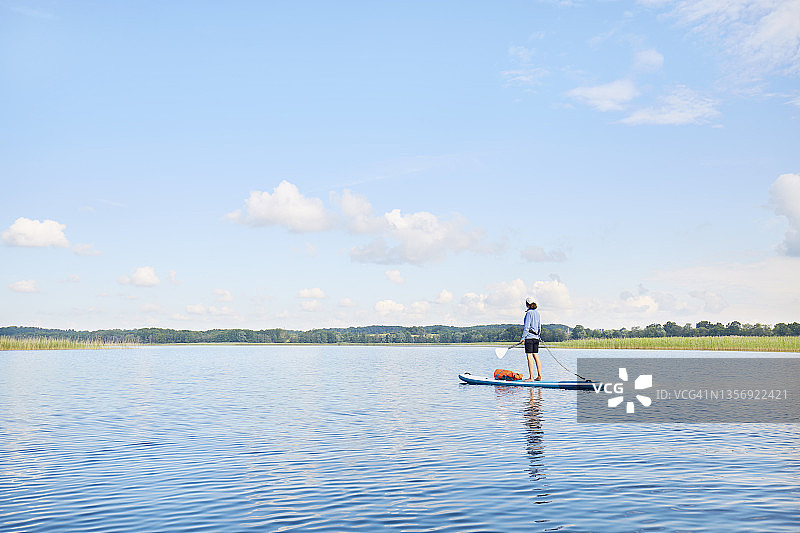夏天，一个女人站起来在田园般的湖面上划水图片素材