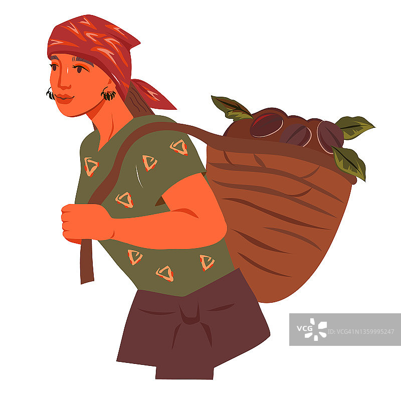 咖啡农妇提着咖啡篮，扁扁的矢量孤立。图片素材