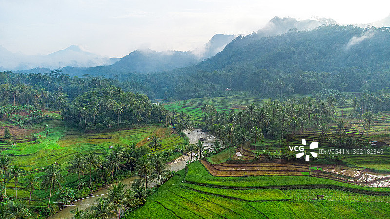 印度尼西亚爪哇中部的布鲁诺，purworejo的绿色梯田图片素材
