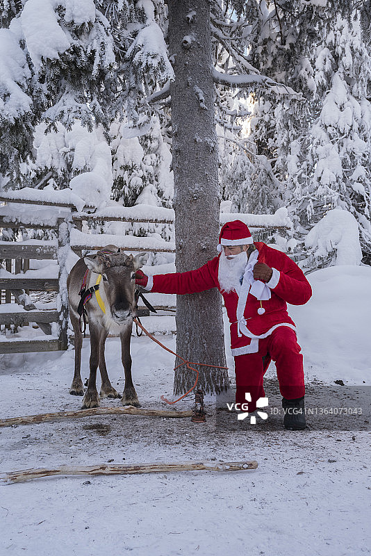 白雪森林里的圣诞老人和他的驯鹿图片素材