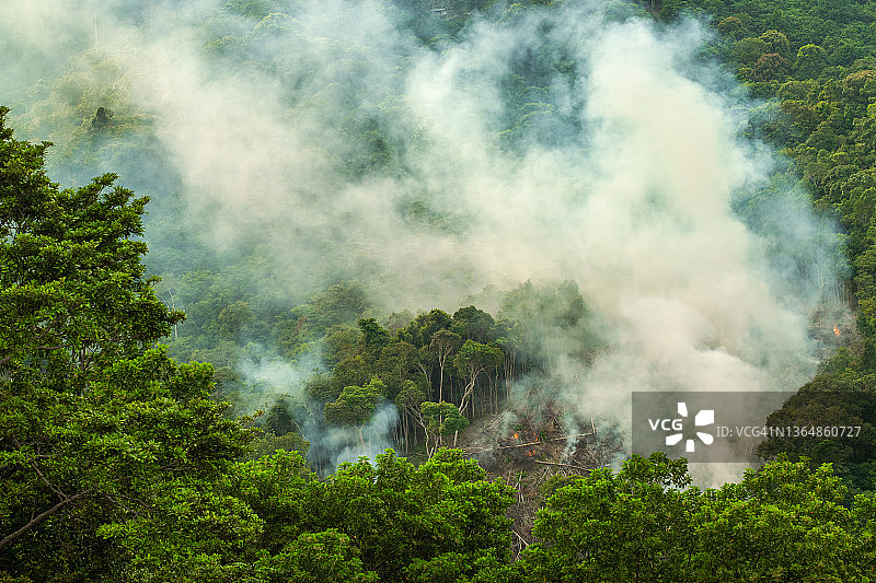 森林大火。绿色热带雨林中的野火和烟雾。生态危机与环境污染问题图片素材