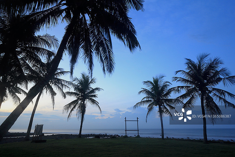椰子树与晨光在海岸线上图片素材