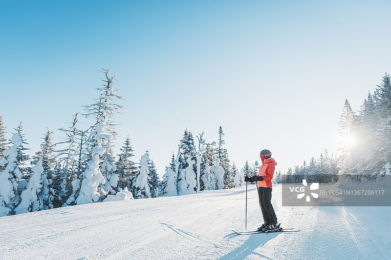 滑雪。滑雪肖像:在寒冷的日子里，滑雪者戴着头盔，戴着清凉的滑雪护目镜，穿着硬壳冬季夹克和滑雪手套，站在雪道坡的树木前图片素材