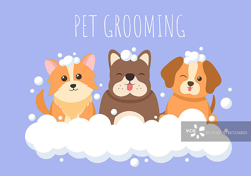 宠物美容的狗和猫在平面卡通手绘背景插图。用于美容院海报或横幅的主要工具图片素材