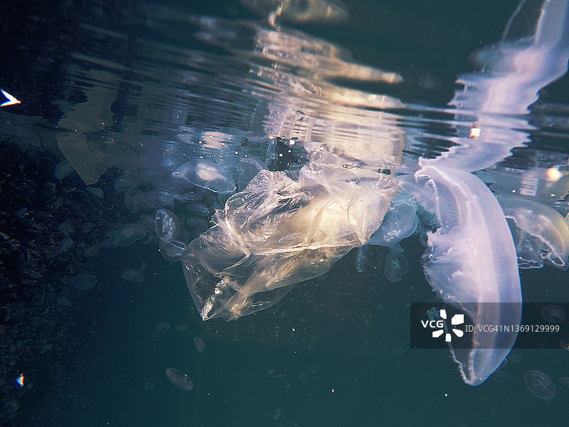 塑料袋漂浮在水下，对海洋动物造成危险图片素材