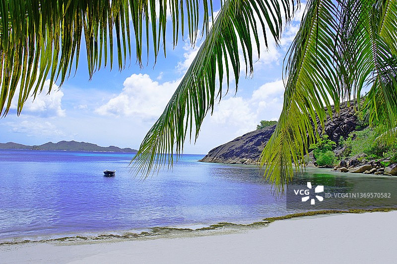 热带岛屿上的棕榈滩。白色的沙滩，椰子树在岸边的印度洋。夏季的天堂，幽静的海滩。图片素材