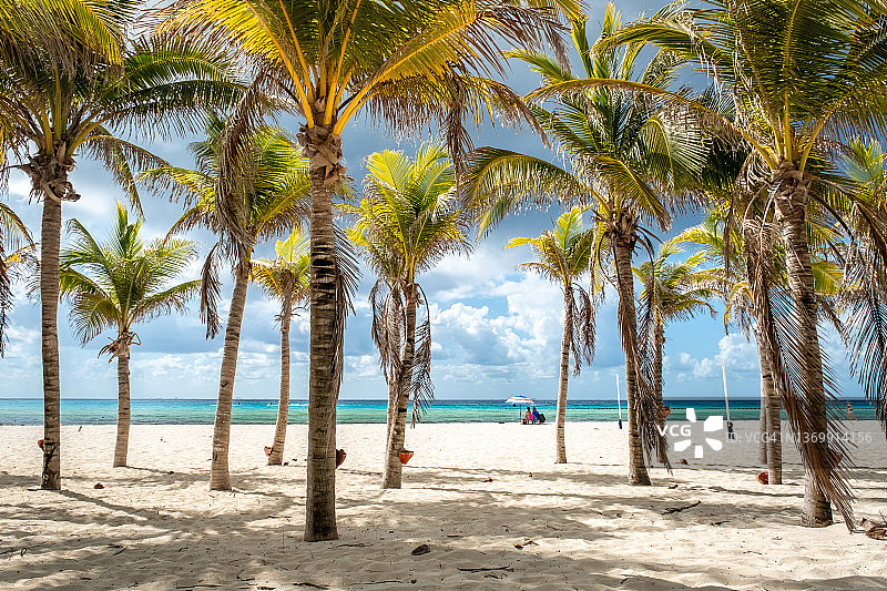 热带景观与椰子树在Playacar海滩加勒比海在Playa del Carmen，墨西哥图片素材