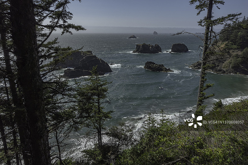 从俄勒冈州的一座小山上俯瞰太平洋的树木图片素材