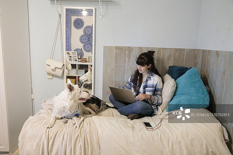 青少年在家和她的狗一起上在线学校课程图片素材