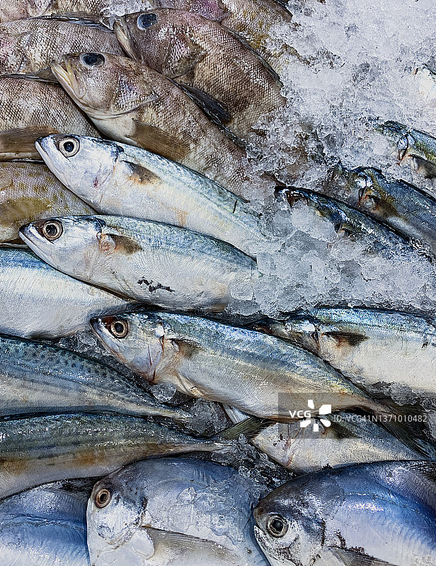 超市鲜鱼品种繁多图片素材