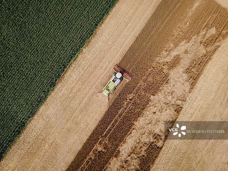 联合收割机在麦田里收集小麦，茬地周围，无人机高角拍摄图片素材