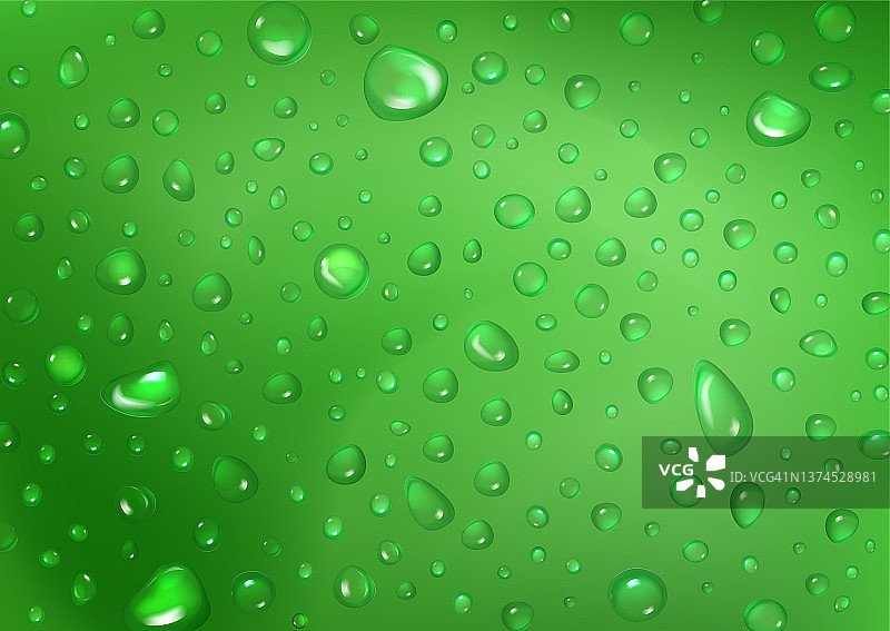 纯闪亮的雨滴在绿色抽象的背景图片素材