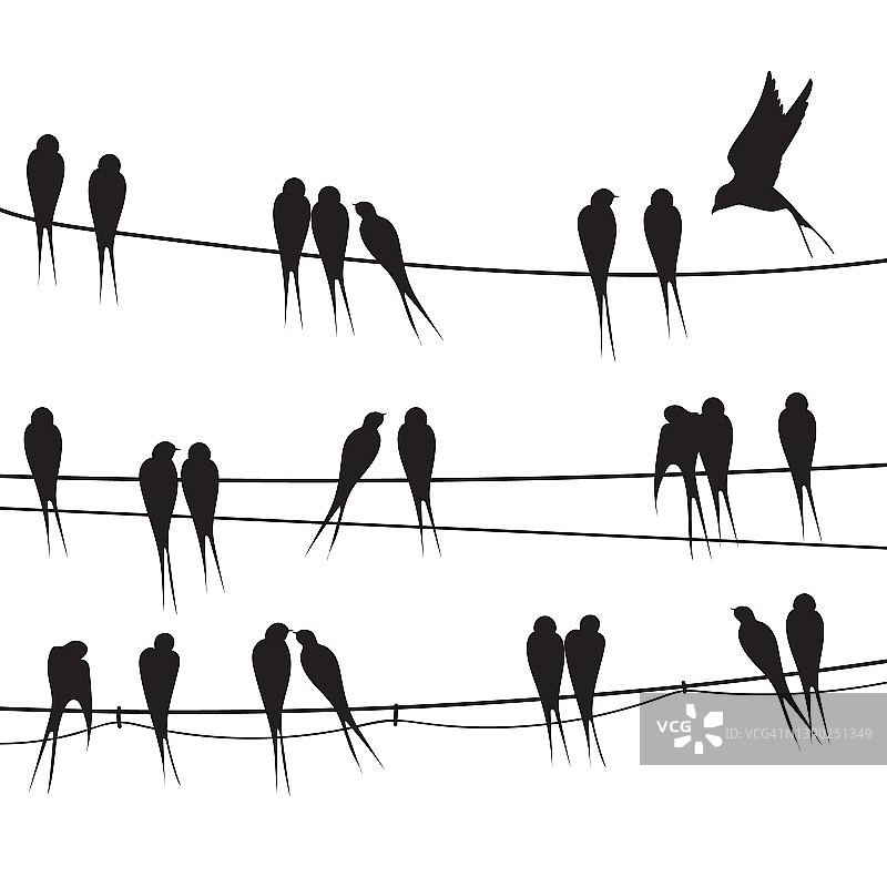鸟儿坐在线。剪影群黑鸟在电话电缆上，蜂群羽毛燕子或马丁斯威夫特对麻雀爱飞动物绘制整洁的矢量插图图片素材