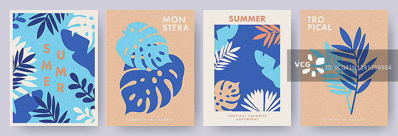 极简主义风格的热带夏日海报。抽象植物墙艺术，当代艺术版画与抽象热带树叶，怪物和现代印刷术。图片素材