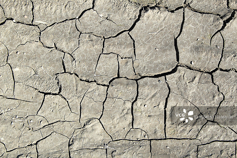 干燥的土地由于土壤干燥而开裂。图片素材