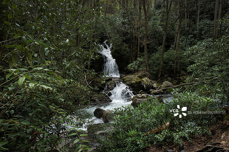 美丽的瀑布在森林深处图片素材
