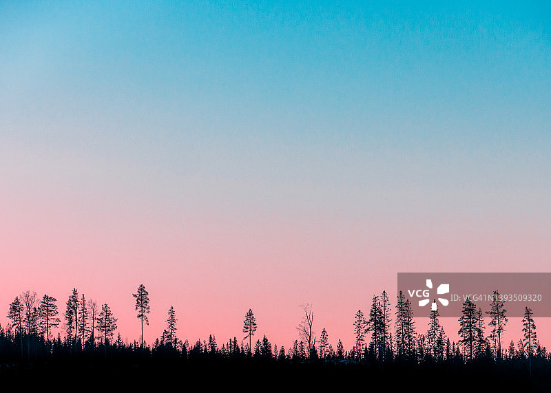 蓝色和粉红色的夕阳和可爱的树图片素材