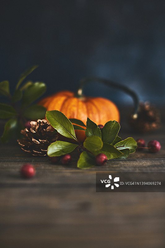 感恩节背景与安排微型南瓜，树叶和浆果的木材。为消息复制空间图片素材
