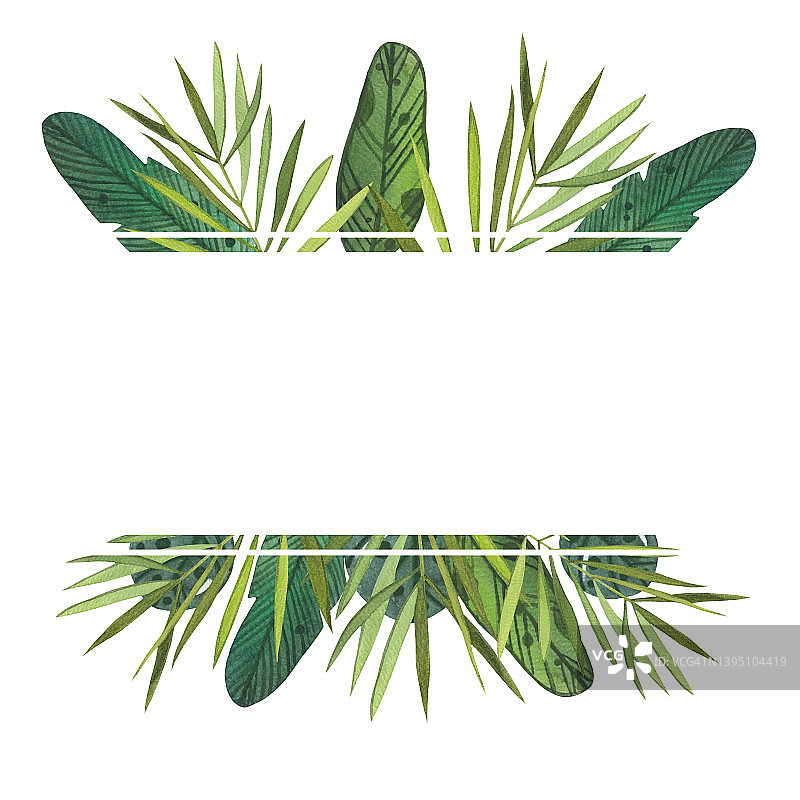 水彩手绘横幅框架与芭蕉叶，monstera，蒸汽，绿叶叶孤立在白色背景。图片素材