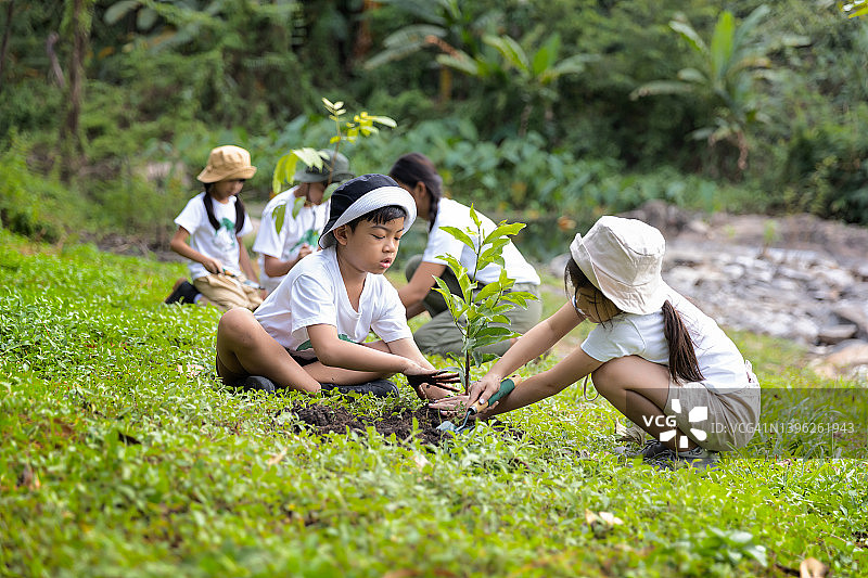 作为拯救世界的理念，集体志愿植树造林图片素材