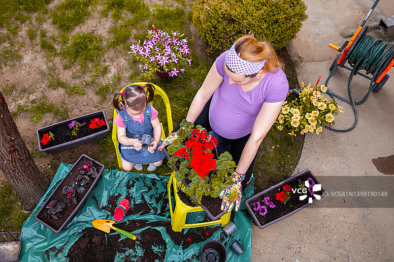 怀孕的母亲带着小女儿在后花园种花图片素材