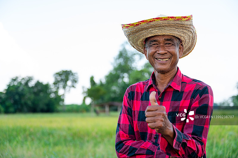 泰国高级农民在他的水稻种植地的肖像图片素材