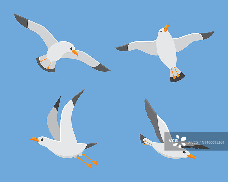 大西洋海鸟飞在天空，一群白鸥图片素材
