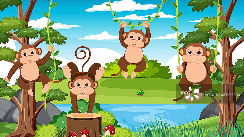 森林背景中的猴子群图片素材