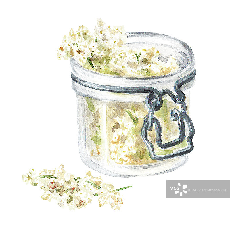 绣线菊属植物花。自制有机中草药酊剂的制备。手绘水彩插图孤立在白色背景图片素材