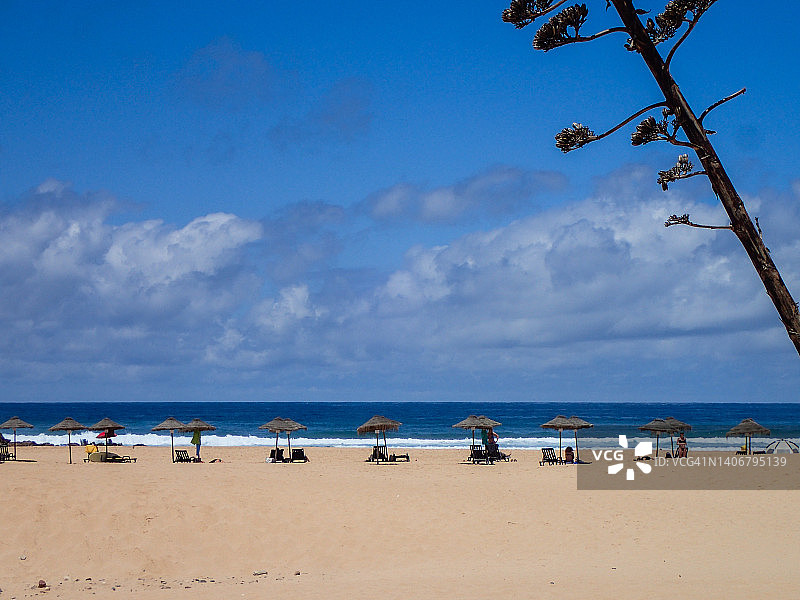 在葡萄牙阿尔加维卡拉帕特拉的普拉亚多波德拉海滩伞和一棵美洲龙舌兰(世纪植物)。图片素材