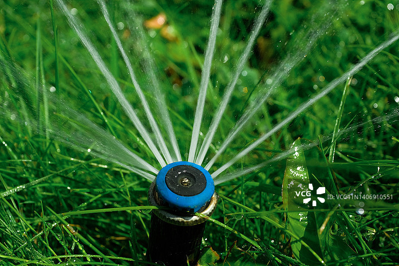 自动草坪洒水器给绿草浇水。花园灌溉系统灌溉草坪、蔬菜和水果。自动喷水灭火系统的维护。在郊区，花园浇水。图片素材