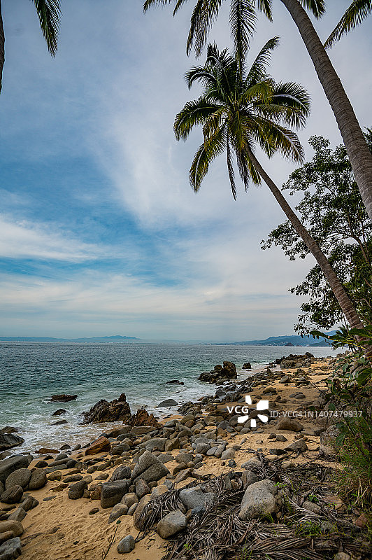 墨西哥僻静海滩周围的热带森林图片素材