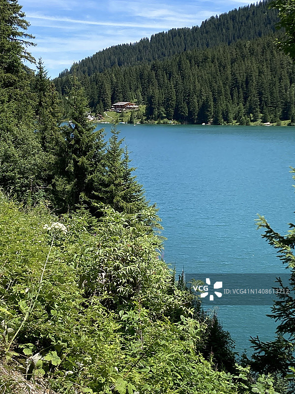 瑞士-亚农湖-在伯尔尼坎顿格施塔德附近图片素材