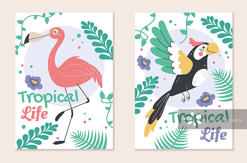 丛林狩猎鸟鹦鹉贺卡模板集。矢量平面设计元素图片素材