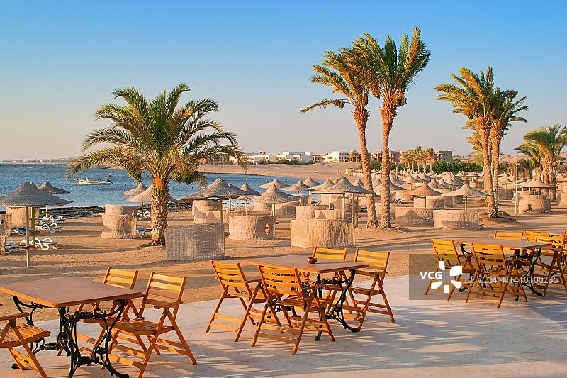 有棕榈树和太阳伞的田园海滩，红海，埃及图片素材