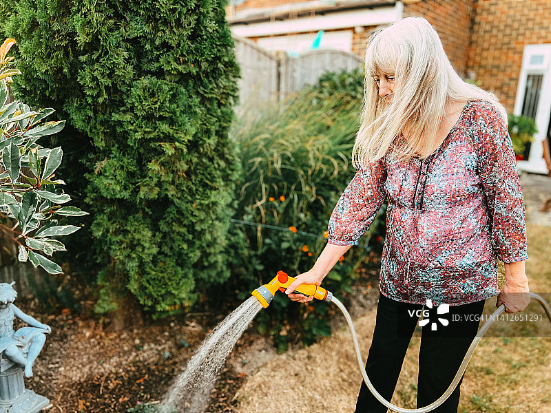 高级妇女在夏天用软管给花园浇水图片素材