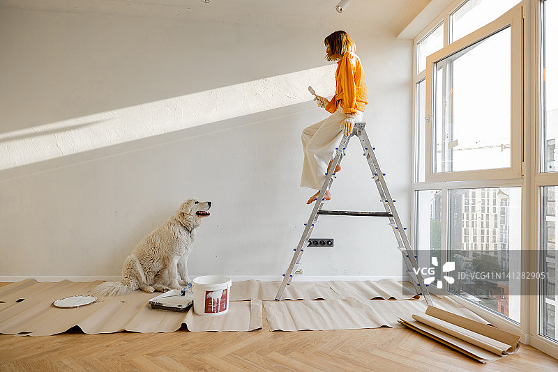 带狗的女人正在翻新房子图片素材