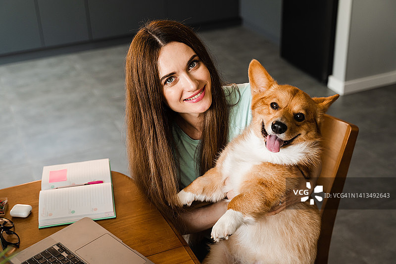 带着笔记本电脑微笑的女孩在家里和柯基狗玩耍。一位在线工作的程序员，休息一下，抱一下她的狗狗。和威尔士柯基·彭布罗克玩得开心。图片素材