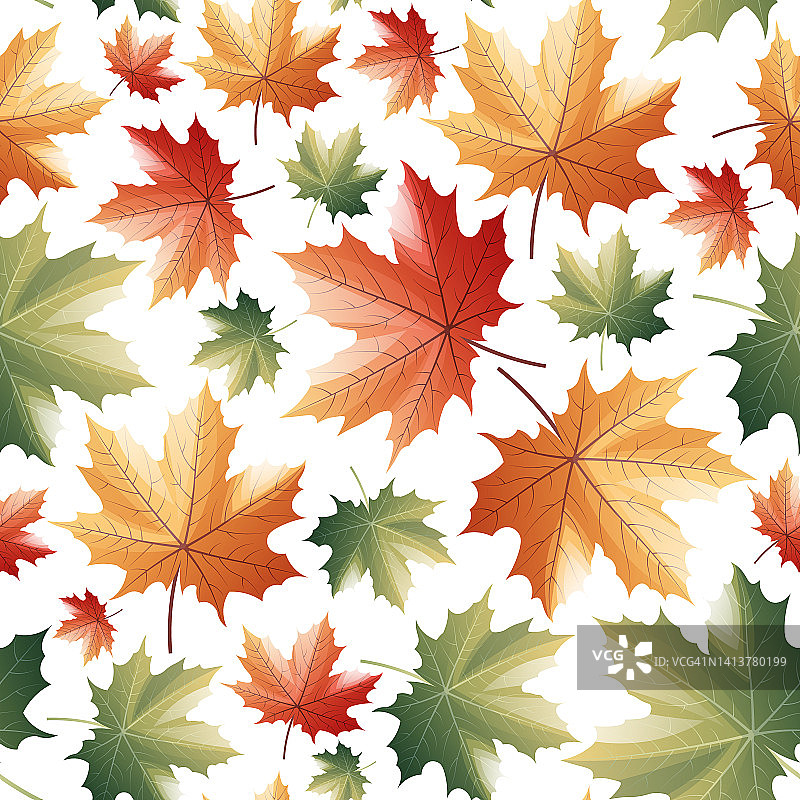 无缝图案与秋天的枫叶在白色的背景。适用于织物、墙纸、包装纸等。图片素材