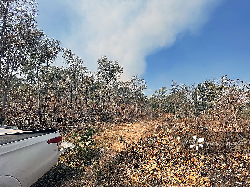 澳大利亚的森林大火的国家图片素材